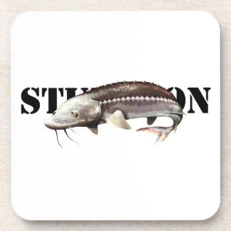 Posavasos Sturgeon