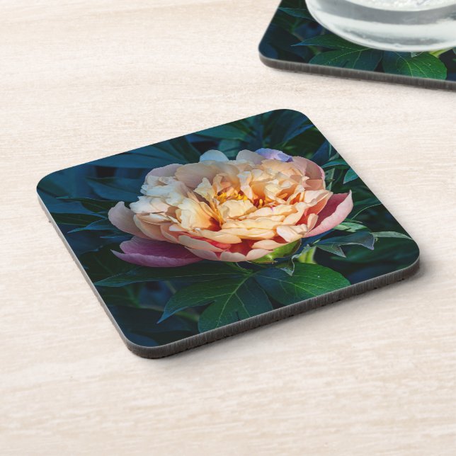 Posavasos Suave Splendor: Peach Peony, Flower Photography (Lado Izquierdo)