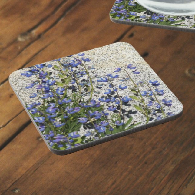 Posavasos Subalpino Púrpura Lupina Floral (In Situ)