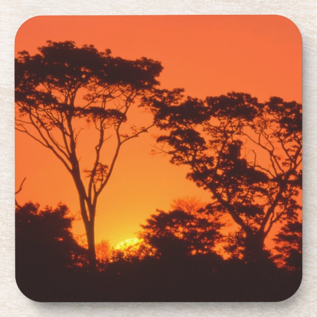 Posavasos Sudáfrica. Atardecer africano. (Frente)