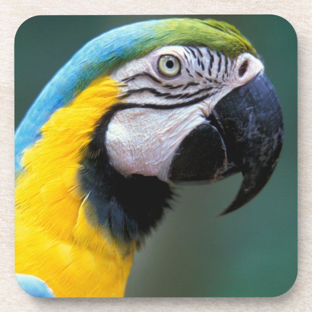 Posavasos Sudamérica, Brasil, Parque Nacional Iguacu, (Frente)