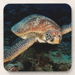 Posavasos Sulawesi Tortuga Verde del Mar