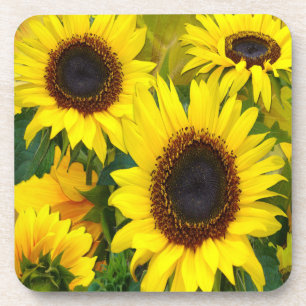 Posavasos Sunflower