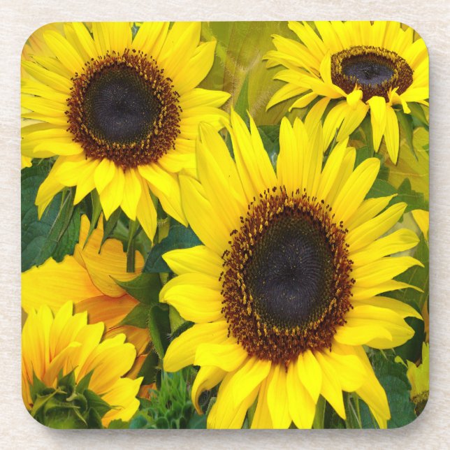 Posavasos Sunflower (Frente)