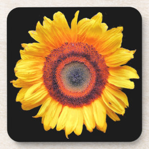 POSAVASOS SUNFLOWERS