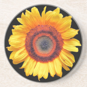 POSAVASOS SUNFLOWERS