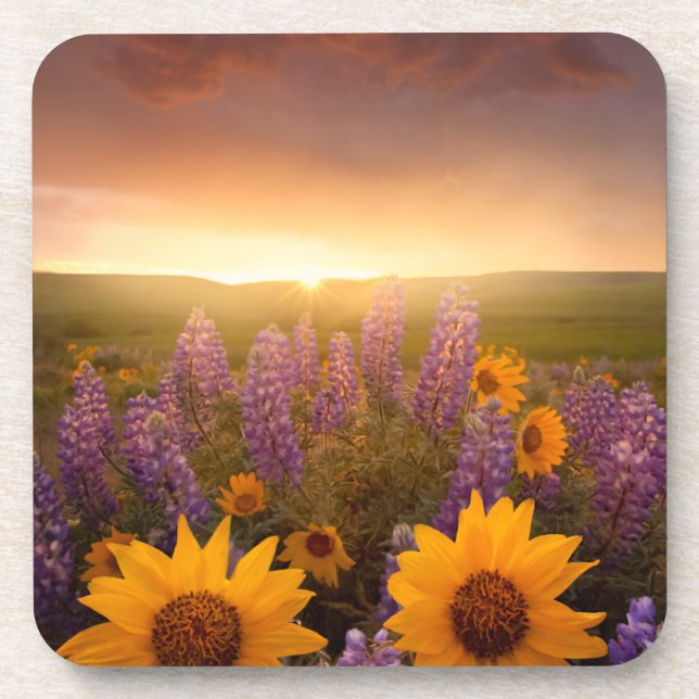 Posavasos Sunset Daisies (Frente)