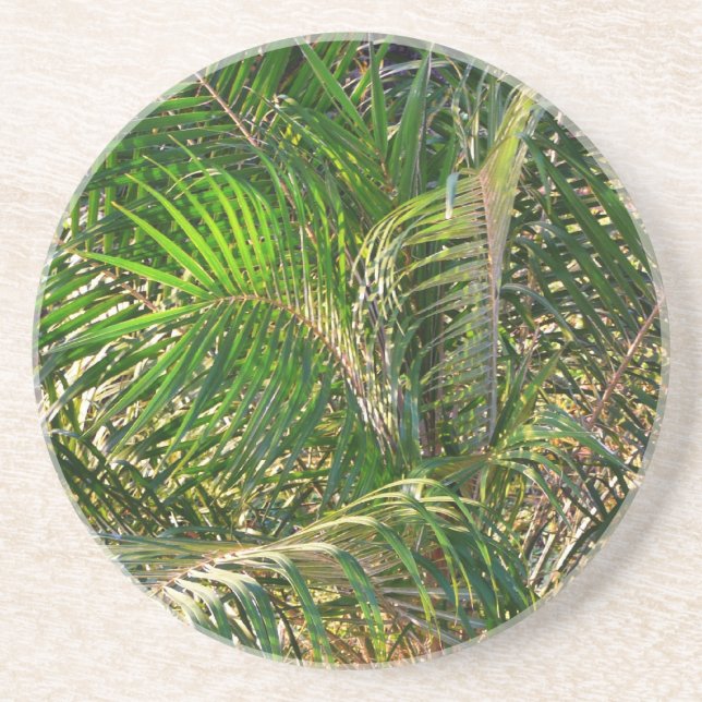 Posavasos Sunset Lit Palm Fronds Tropical (Frente)