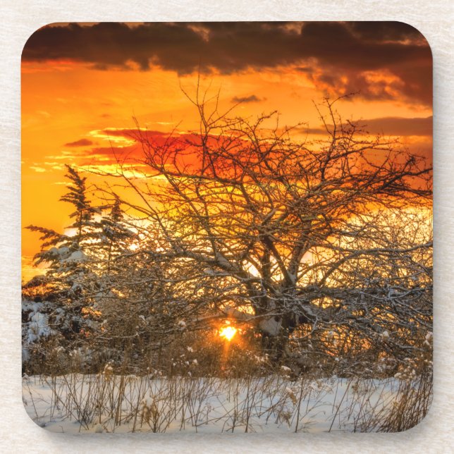 Posavasos Sunset Vermont Winter Hard Plastic Coaster (Frente)