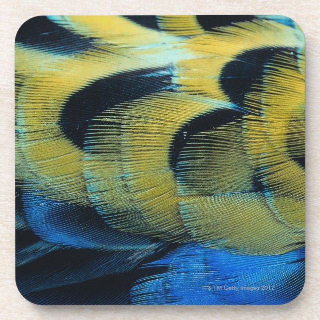 Posavasos Superficie 4 de la pluma (Frente)