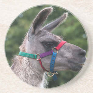 Posavasos Superioridad de Llama