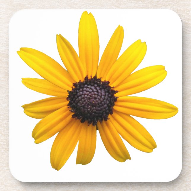 Posavasos Susan Coasters, de ojos negros (Frente)