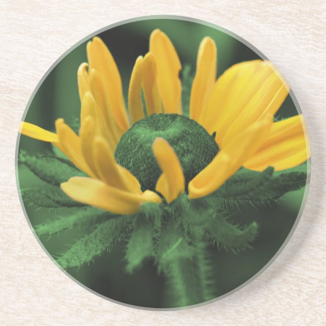 Posavasos Susan Floral Coaster de Green Black Eyed (Frente)