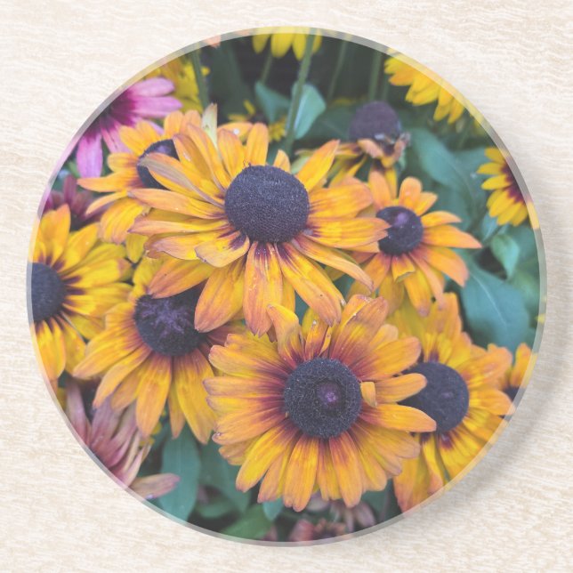 Posavasos Susans de ojos negros (Frente)