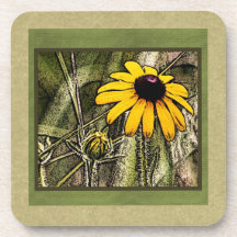 Susie observado negro