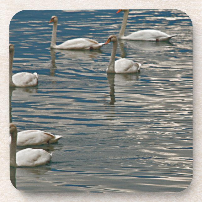 Posavasos Swan Song (Frente)