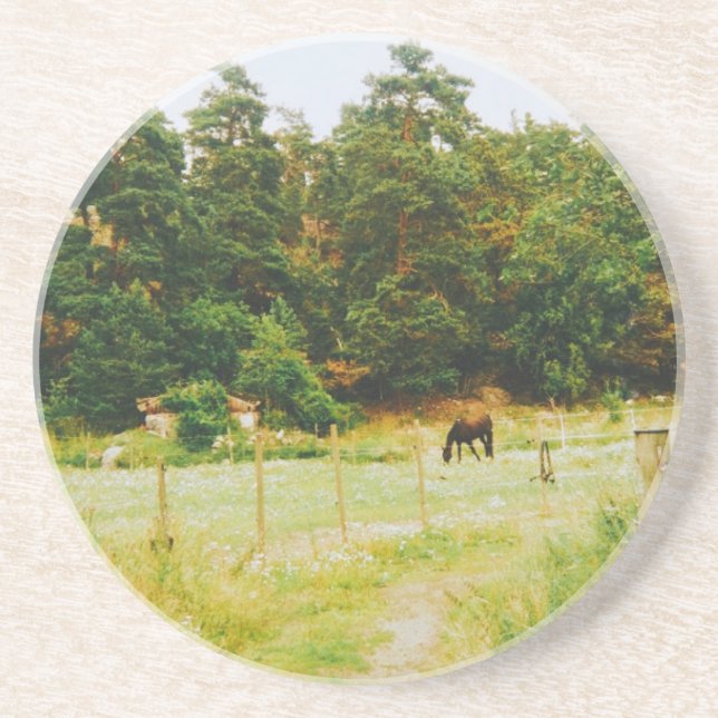 Posavasos Swedish Countryside (Frente)