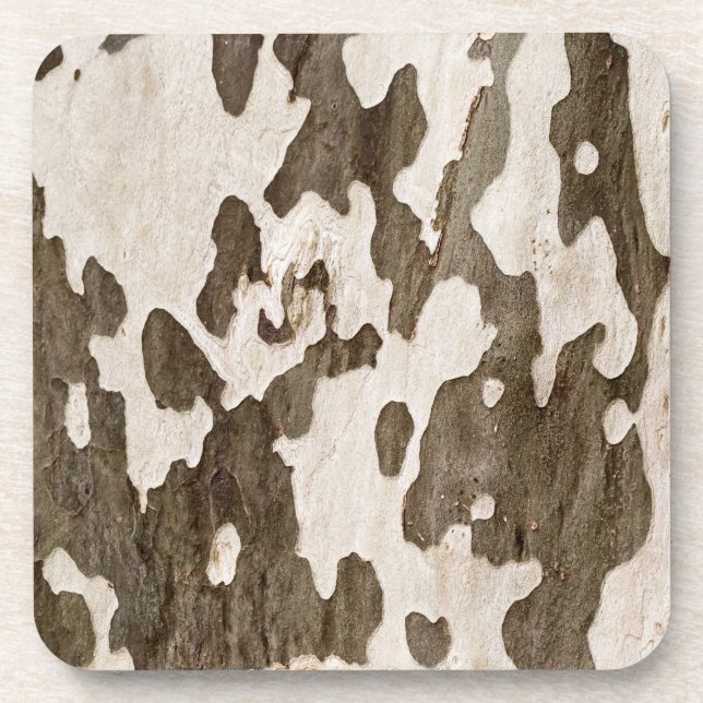 Posavasos Sycamore Bark (Frente)
