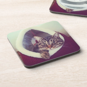 Posavasos Tabby Kitty In Hut Close-Up Photograph