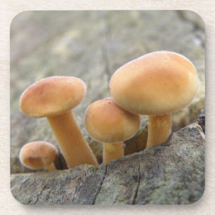 Posavasos Taburetes en una montaña rusa de troncos de árbol