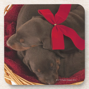 Posavasos También Doberman Pincher. Perro nacional mediano