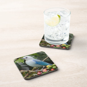 Posavasos Tanager azul-gris