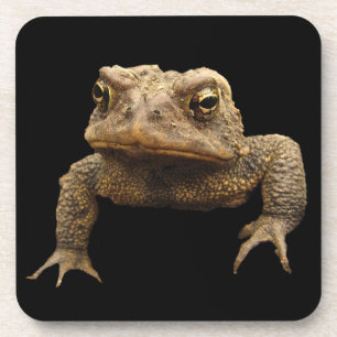 Posavasos Tapo americano