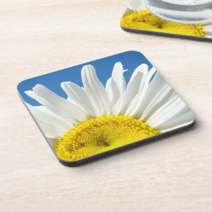 Posavasos Tapones de corcho de flores de margarita blanca En