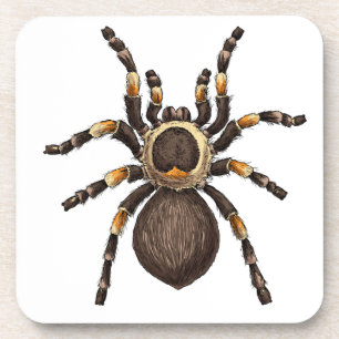 Posavasos Tarantula
