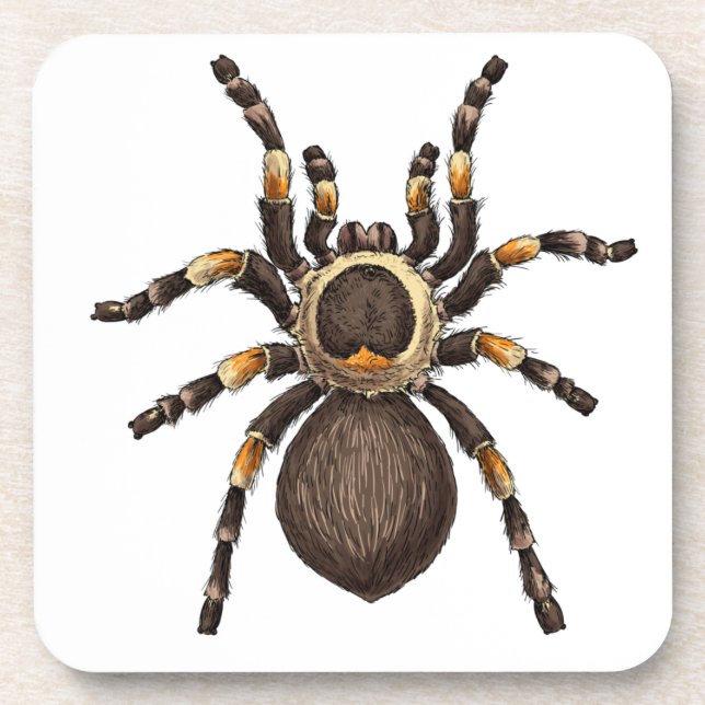 Posavasos Tarantula (Frente)