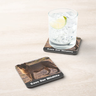 Posavasos Tau Salva Nuestra Vida Silvestre