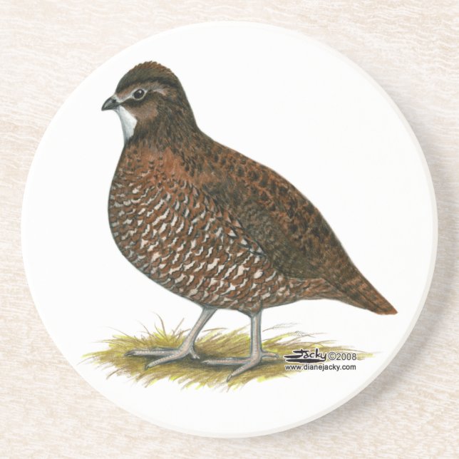 Posavasos Tennessee Red Quail (Frente)
