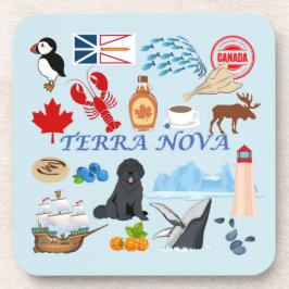Posavasos Terra Nova Newfoundland