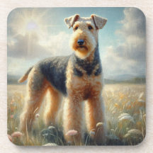 Terrier Airedale