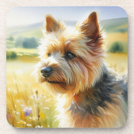 Posavasos Terrier de Norwich