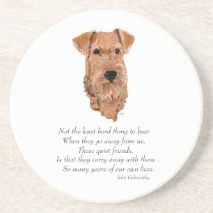 Posavasos Terrier Irlandés Puente del Arcoíris