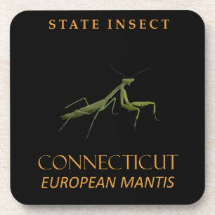 Posavasos Territorio de Connecticut Insecto La Mantis Religi