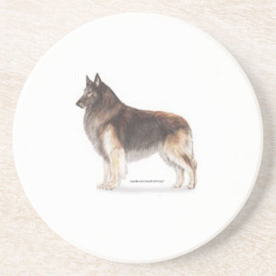 Posavasos Tervuren belga