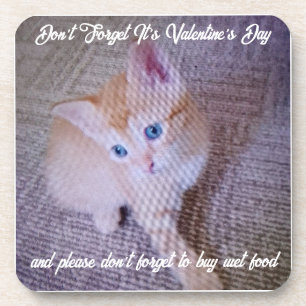 Posavasos Texto de humor de foto de gato del día de San Vale