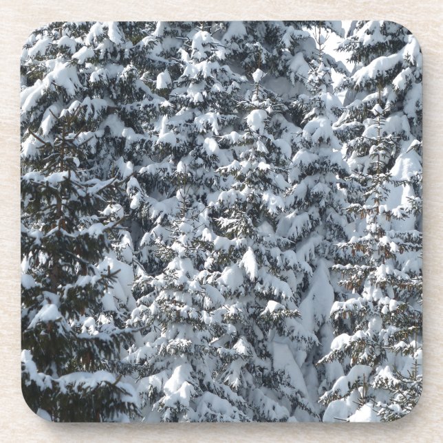 Posavasos Textura de árbol de flor de nieve (Frente)