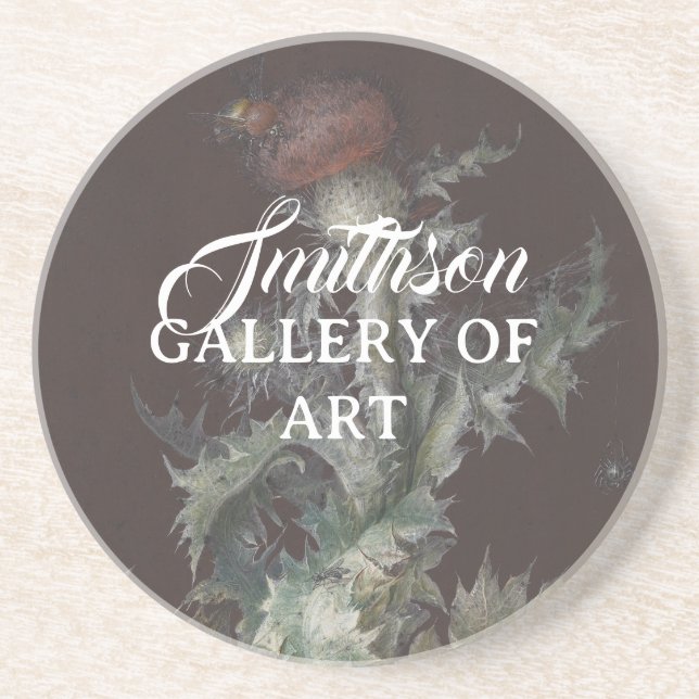 Posavasos Thistle with Insects 1755 Johann C. Dietzsch (Frente)