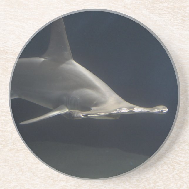 Posavasos Tiburón de Hammerhead (Frente)