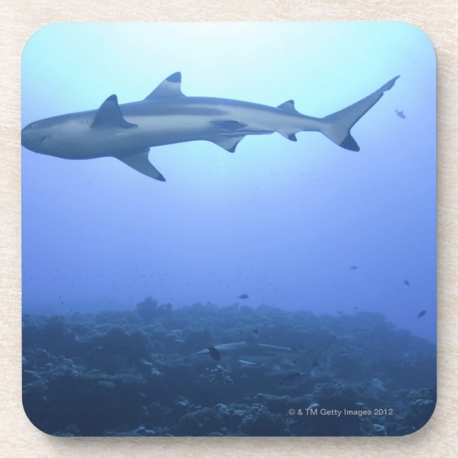 Posavasos Tiburón en el océano, opinión de ángulo bajo (Frente)