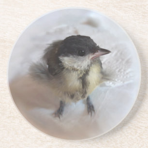 Posavasos Tidi my Bird the Parus Major