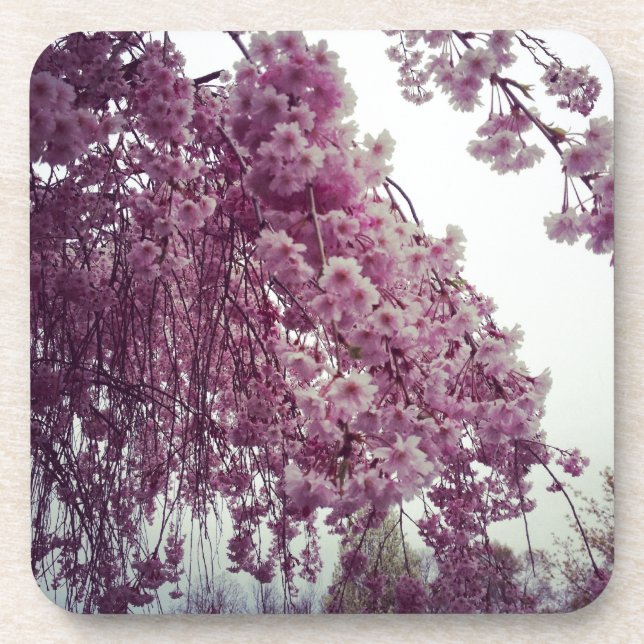 Posavasos Tiempo de primavera (Frente)