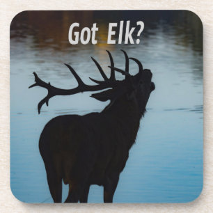 Posavasos ¿Tienes a Elk? Humor divertido de Hunter