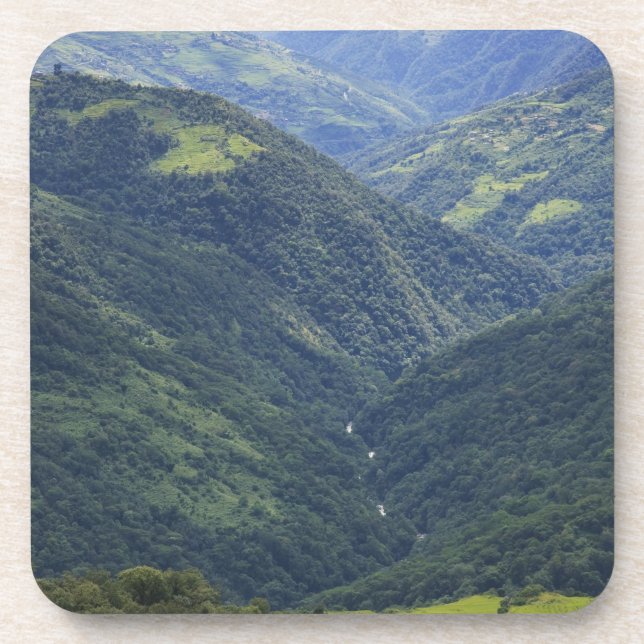 Posavasos Tierras agrícolas y bosque de Himalaya en el valle (Frente)