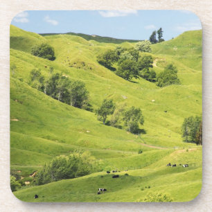 Posavasos Tierras de cultivo cerca de Gisborne, Nueva Zeland