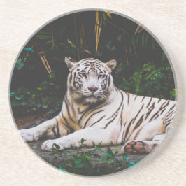 Posavasos Tiger Coaster