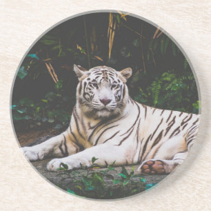 Posavasos Tiger Coaster